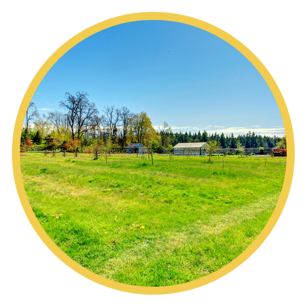 Pasture with a farm house