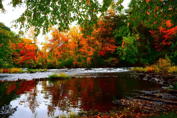 Fall on lake